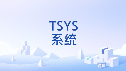 TSYS系统