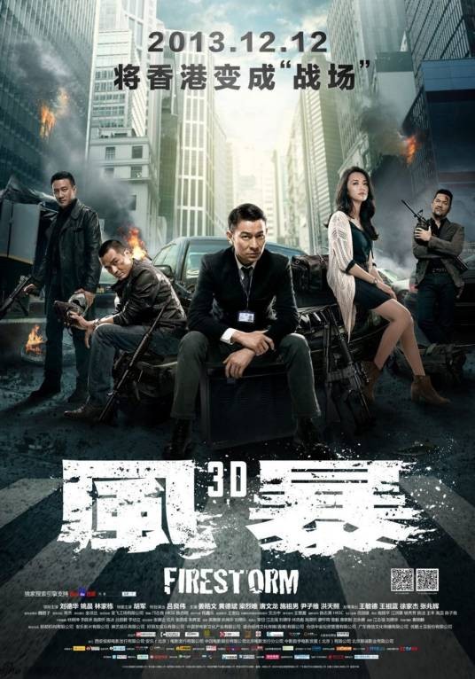 风暴（2013年袁锦麟执导的电影）