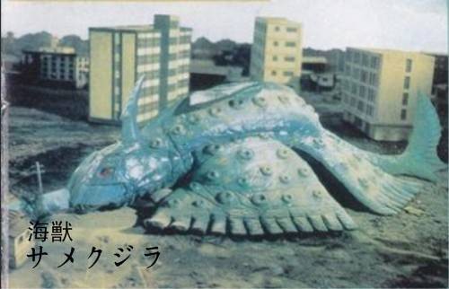 萨梅鲸