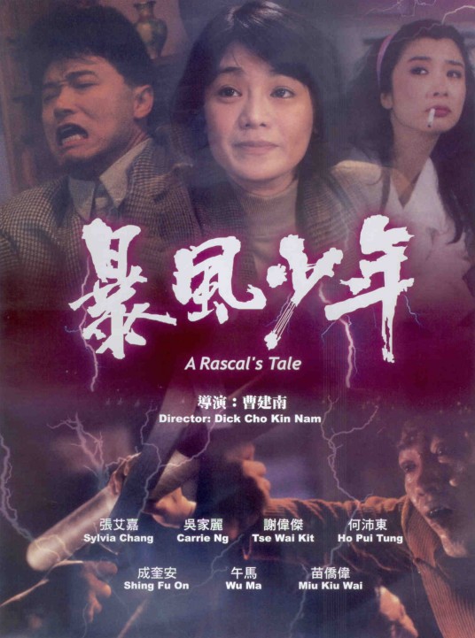暴风少年（1991年曹建南执导的动作电影）