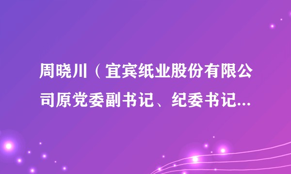 周晓川（宜宾纸业股份有限公司原党委副书记、纪委书记、监事会主席）