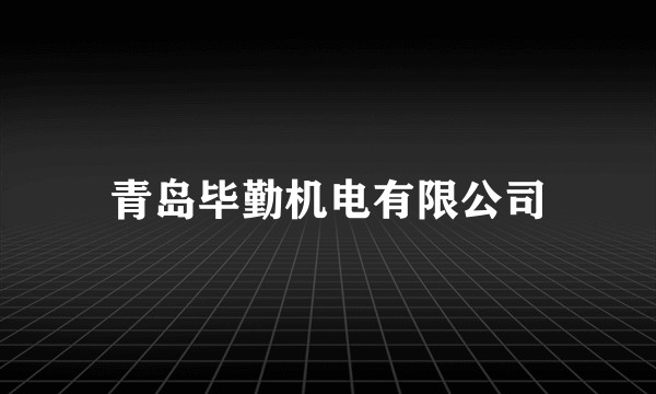 青岛毕勤机电有限公司