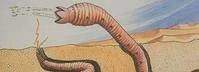蒙古死亡蠕虫（蒙古高原传说中的神秘生物）