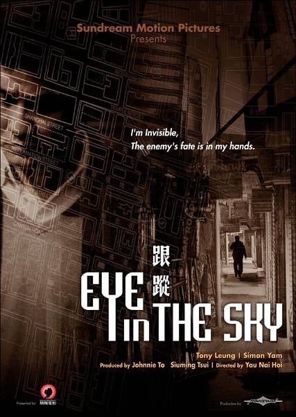 跟踪（中国香港2007年游乃海执导电影）