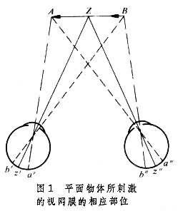 深度知觉