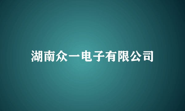 湖南众一电子有限公司