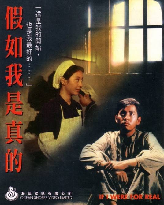 假如我是真的（1981年王童执导的剧情片）