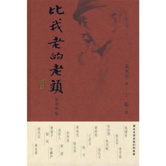 比我老的老头（2008年作家出版社出版的图书）