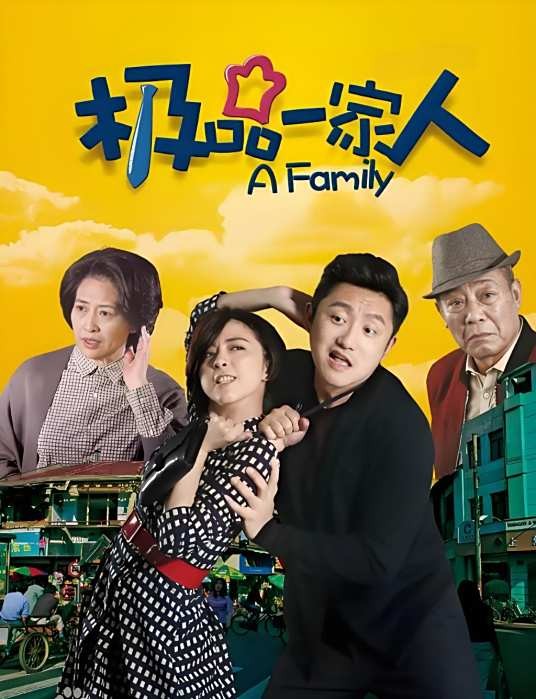 极品一家人（2018年孙皓执导的都市生活剧）