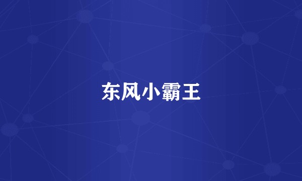 东风小霸王