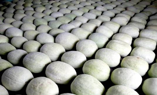 三白瓜