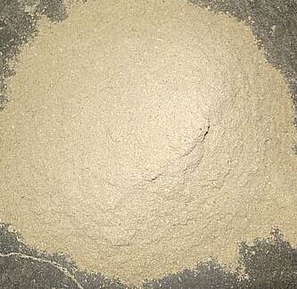 小麦麸(禾本科小麦属植物)