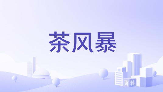 茶风暴
