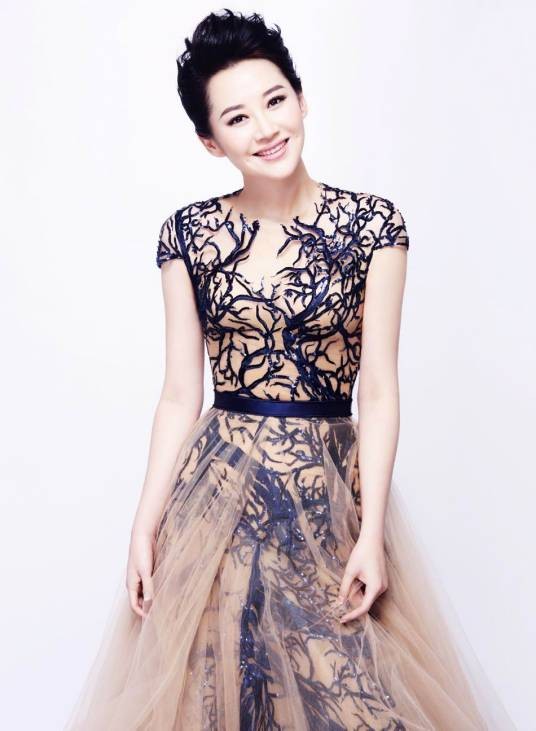 许晴(中国内地女演员)