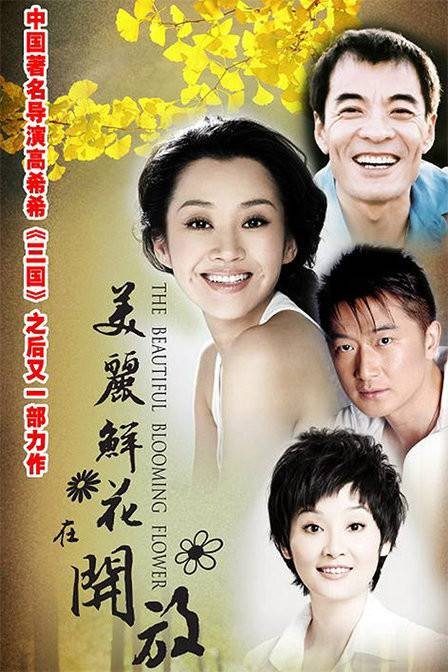 美丽鲜花在开放（2010年高希希执导电视剧）