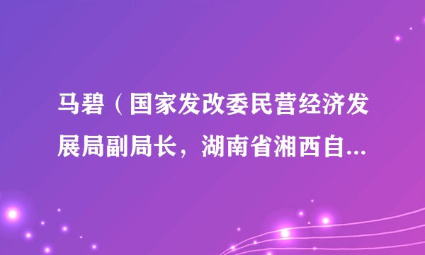 马碧（国家发改委民营经济发展局副局长，湖南省湘西自治州政府党组成员、副州长）