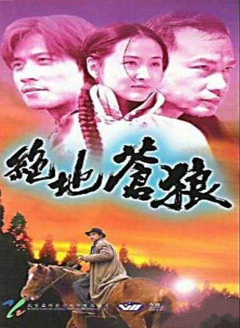 绝地苍狼（1998年张千文执导的动作剧）