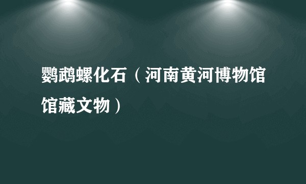 鹦鹉螺化石（河南黄河博物馆馆藏文物）