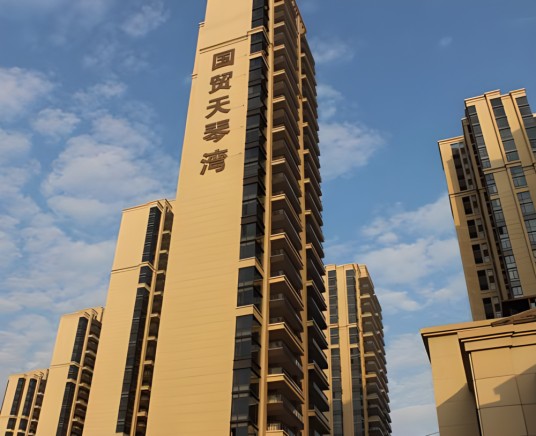 国贸天琴湾（芜湖市弋江区楼盘）