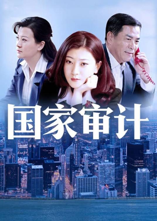 国家审计（蒲剑、赵宁宇执导电视剧）