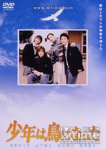 变成鸟的少年