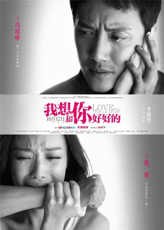 我想和你好好的(2013年李蔚然执导的爱情片)