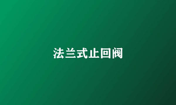 法兰式止回阀