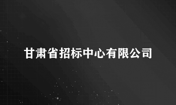 甘肃省招标中心有限公司