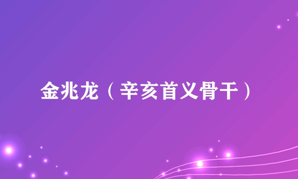 金兆龙（辛亥首义骨干）