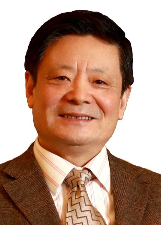 王琦（中国工程院院士、国医大师）