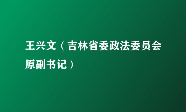 王兴文（吉林省委政法委员会原副书记）