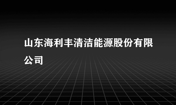 山东海利丰清洁能源股份有限公司