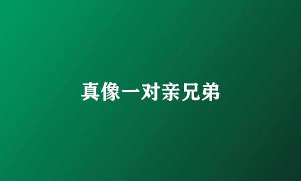 真像一对亲兄弟