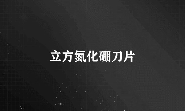 立方氮化硼刀片