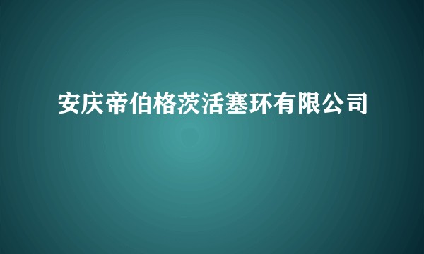 安庆帝伯格茨活塞环有限公司