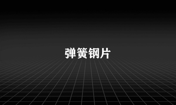弹簧钢片