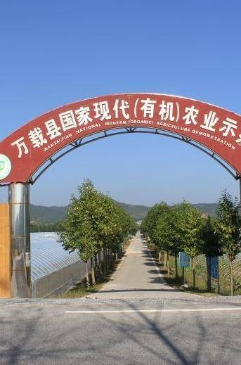 三兴镇（江西省万载县下辖镇）