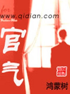 官气（小说名）