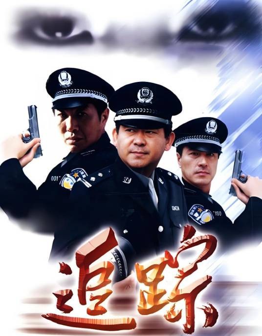 追踪（2004年李自人执导的悬疑电视剧）