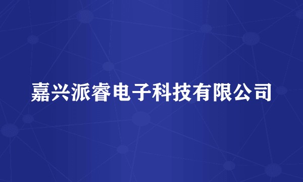 嘉兴派睿电子科技有限公司