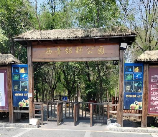 西青郊野公园