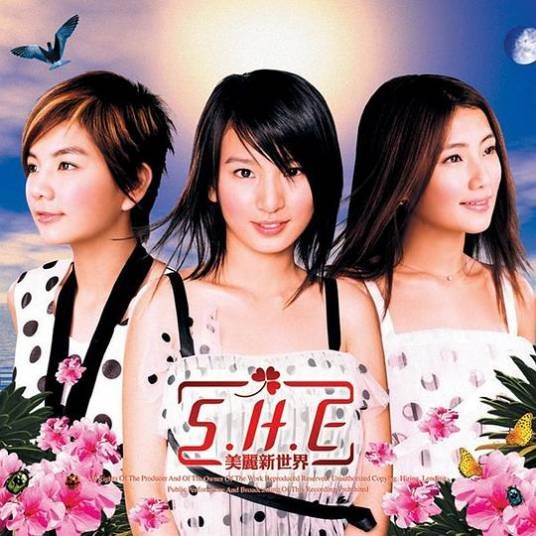 爱情的海洋（2002年S.H.E演唱的歌曲）