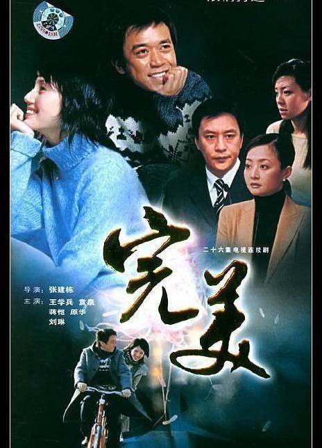 完美(2005年张建栋执导的电视剧)