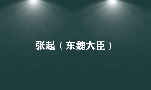 张起（东魏大臣）