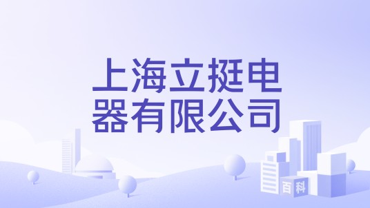上海立挺电器有限公司