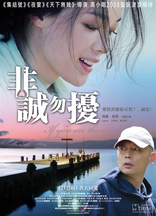 非诚勿扰（2008年冯小刚执导的爱情喜剧电影）