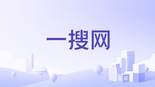一搜网