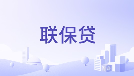 联保贷