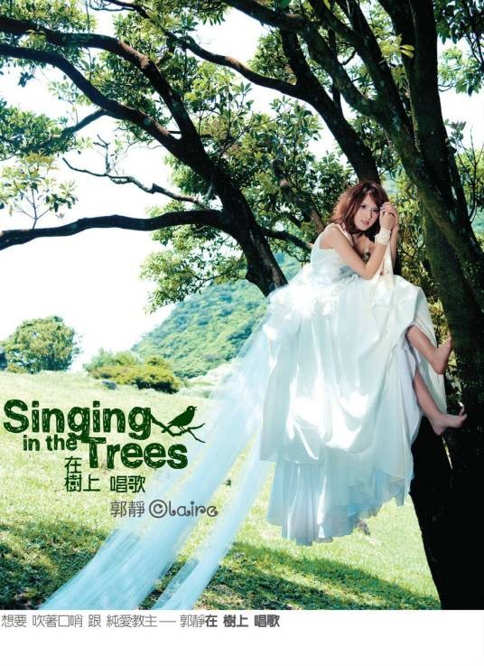 心墙（2005年林采欣演唱的流行歌曲）