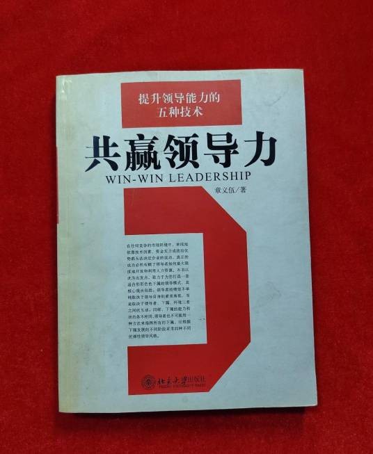 共赢领导力（2004年北京大学出版社出版的图书）